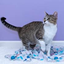 Thumbnail photo of Georgia #3