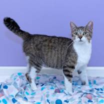 Thumbnail photo of Georgia #4