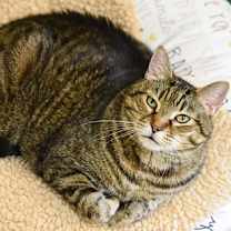 Thumbnail photo of Baby #1