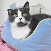 Thumbnail photo of Malora #1