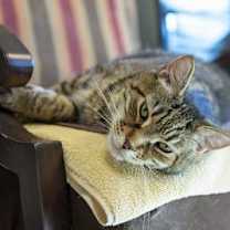 Thumbnail photo of Baby #2