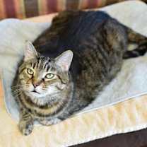 Thumbnail photo of Baby #3