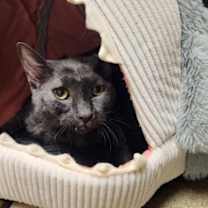 Thumbnail photo of Skip-It #3