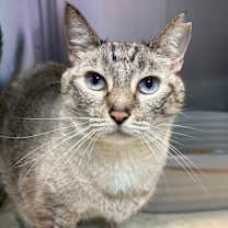 Thumbnail photo of Jojo #3