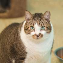 Thumbnail photo of Stinker #1