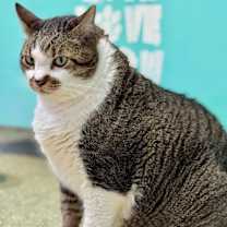 Thumbnail photo of Stinker #3