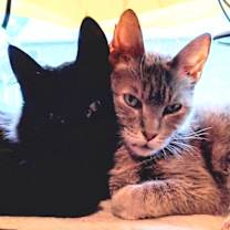 Thumbnail photo of (ck) Felicity (FKA Baby Girl) #2