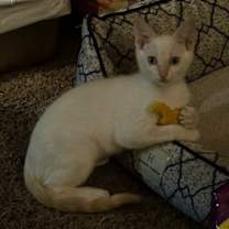 Thumbnail photo of Casper #1