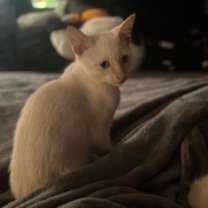 Thumbnail photo of Casper #2