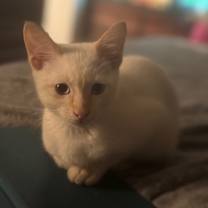 Thumbnail photo of Casper #3