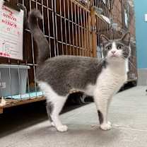 Thumbnail photo of Lyric #3