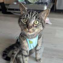 Thumbnail photo of Mitchu #1