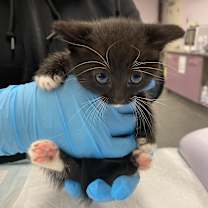 Thumbnail photo of Eggbert #2