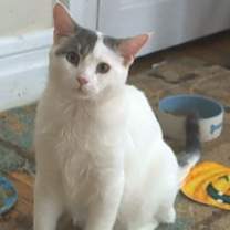 Thumbnail photo of Sprink #4