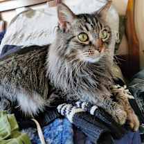 Thumbnail photo of Storm #2