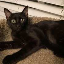 Thumbnail photo of Anna #3