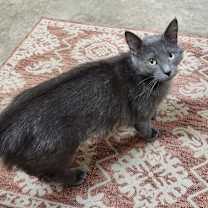 Thumbnail photo of Jeanne -  DS #2