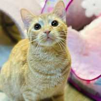 Thumbnail photo of Ruby and Rio #2