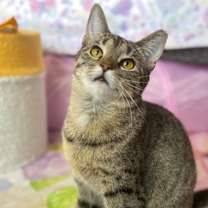 Thumbnail photo of Claudia #1