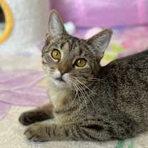 Thumbnail photo of Claudia #2