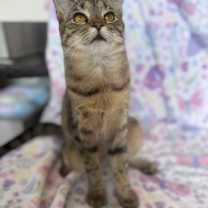 Thumbnail photo of Claudia #3