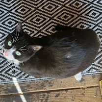 Thumbnail photo of Cindy Clawford #2