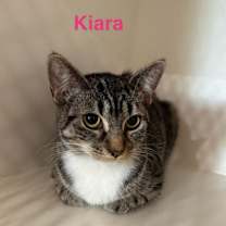Thumbnail photo of Kiara #3