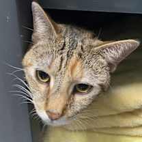 Thumbnail photo of Raquel #1