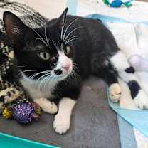 Thumbnail photo of Cindy Clawford #3