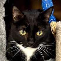 Thumbnail photo of Mona #1