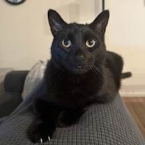 Thumbnail photo of Duncan #1