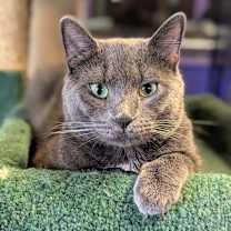 Thumbnail photo of Sergei #1