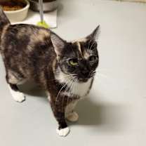 Thumbnail photo of EDEN #3