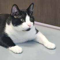 Thumbnail photo of Pax #4