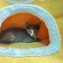 Thumbnail photo of Elouise #1