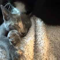 Thumbnail photo of Elouise #2