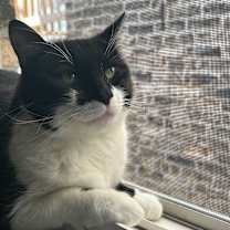 Thumbnail photo of Valerie #3