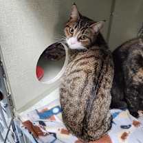 Thumbnail photo of Clara #2