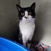 Thumbnail photo of Cece #2