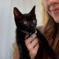 Thumbnail photo of Sarah Alexsia #3