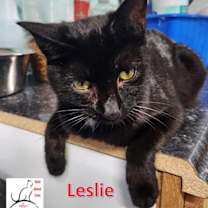 Thumbnail photo of Leslie #1