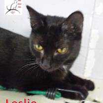 Thumbnail photo of Leslie #3