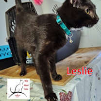 Thumbnail photo of Leslie #4
