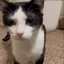 Thumbnail photo of Eder SYG #2