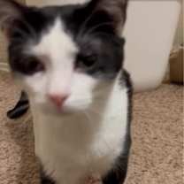 Thumbnail photo of Eder SYG #3