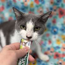 Thumbnail photo of Blair #3