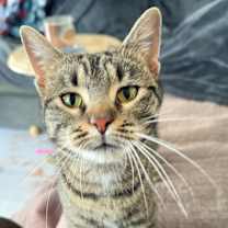 Thumbnail photo of Vera #1