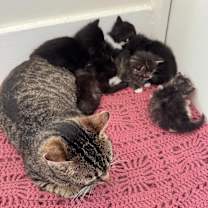 Thumbnail photo of Vera #2