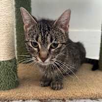 Thumbnail photo of Vera #4