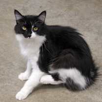 Thumbnail photo of Beauty #2